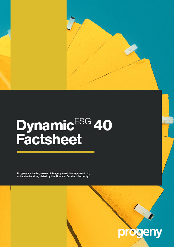Dynamic ESG 40 Factsheet