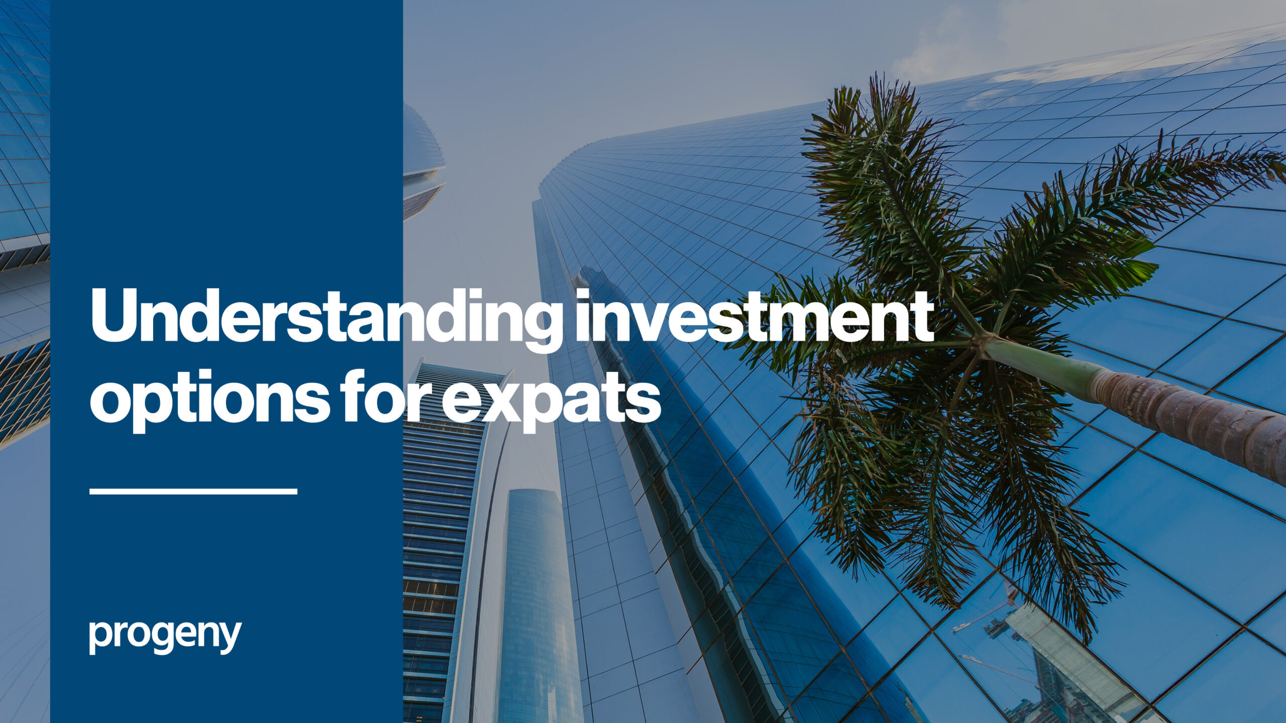 Understanding Investment Options for Expats
