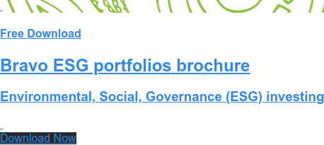   Free Download Bravo ESG portfolios brochure Environmental, Social, Governance (ESG) investing   Download Now