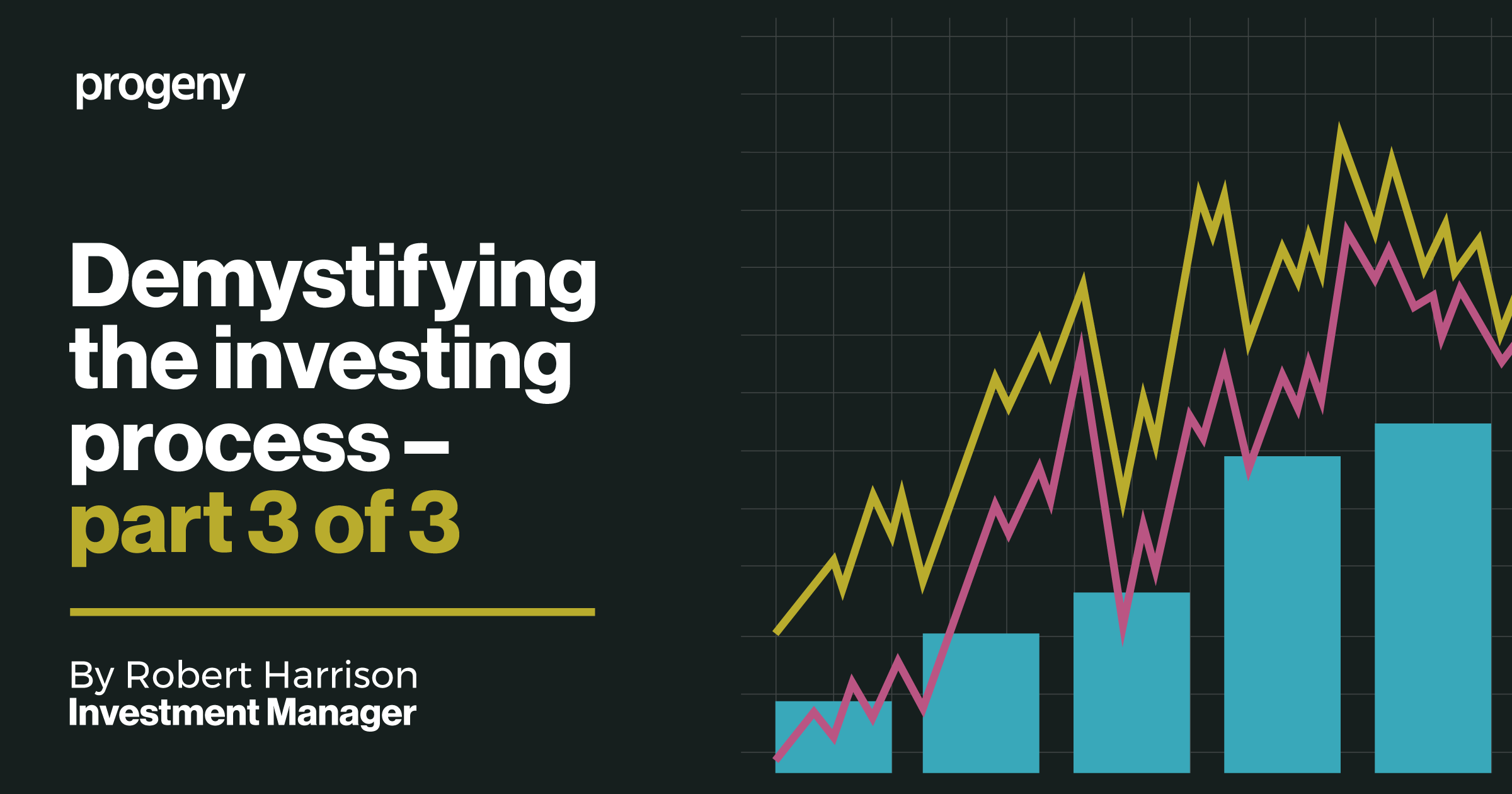 What is the investing process?