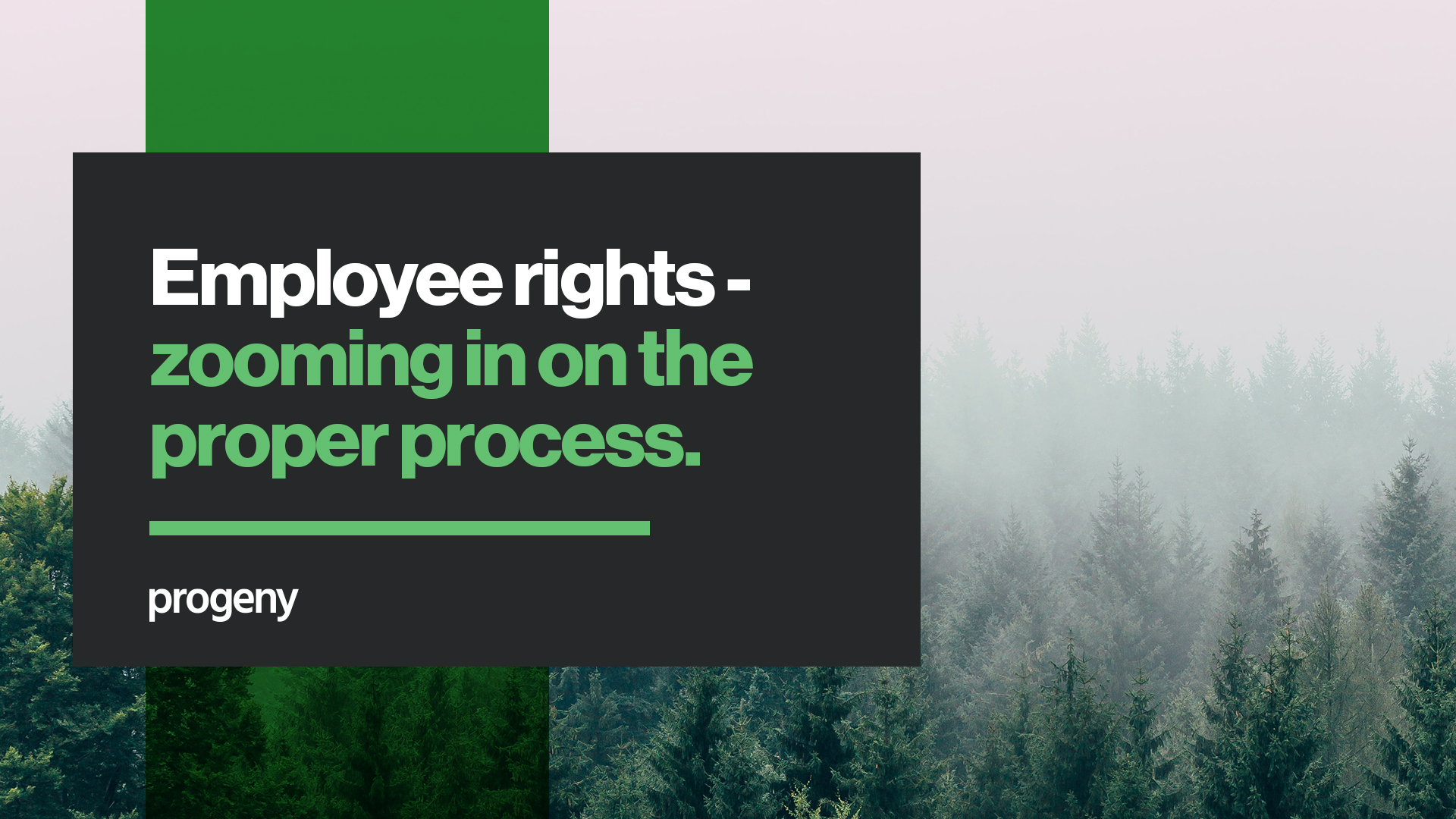 Employee Rights