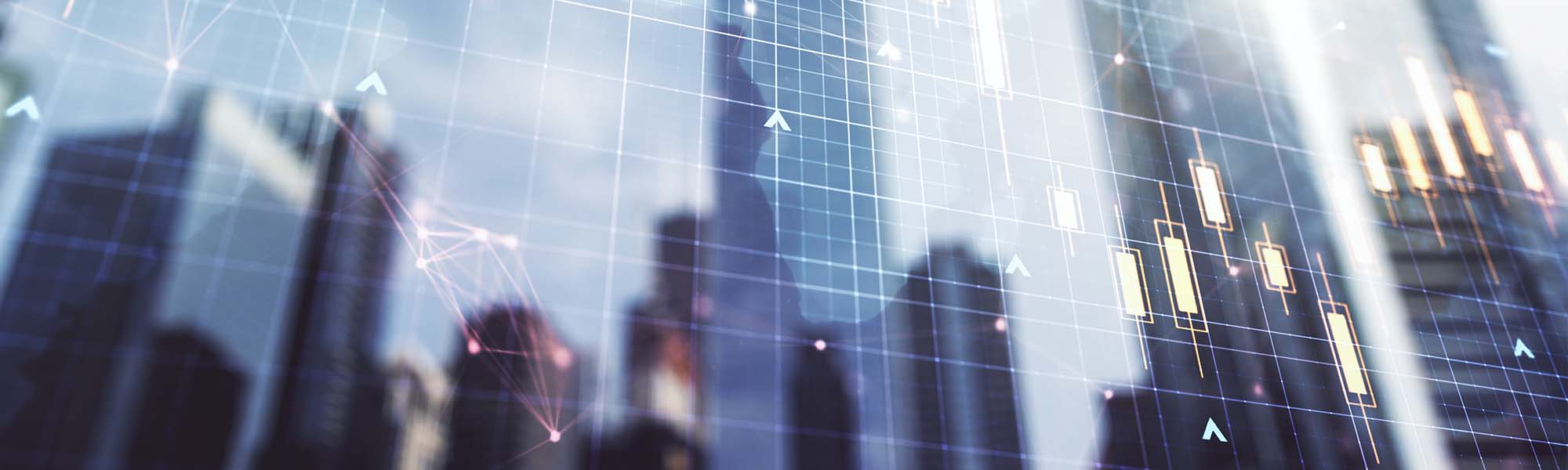 Gilts get their moment in the limelight | Progeny