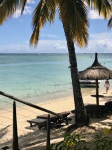 A beach with palm trees and sun loungers