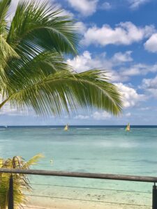 The sea, with palm trees in the foreground