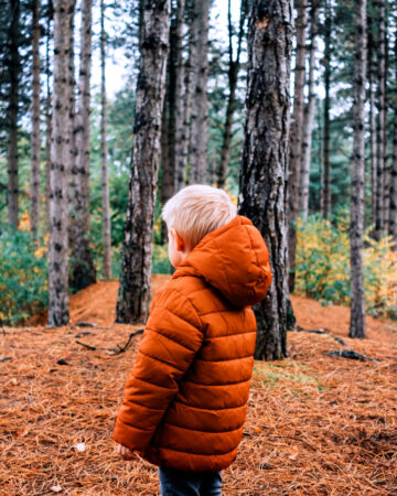 Child,In,The,Forest,Looking,At,The,Nature,In,A