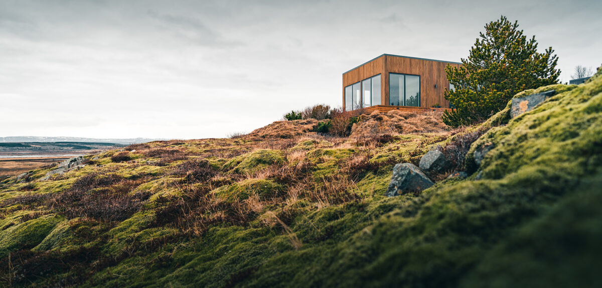 Giving mortgage assistance to your children or grandchildren Progeny