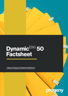 Dynamic ESG 50 Factsheet|||||