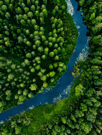 NB – 1920 – Environmental impact business owner