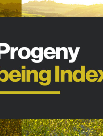 Wellbeing Index