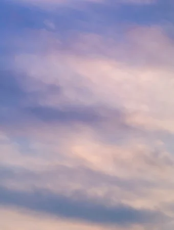 Banner-scaled-1.webp